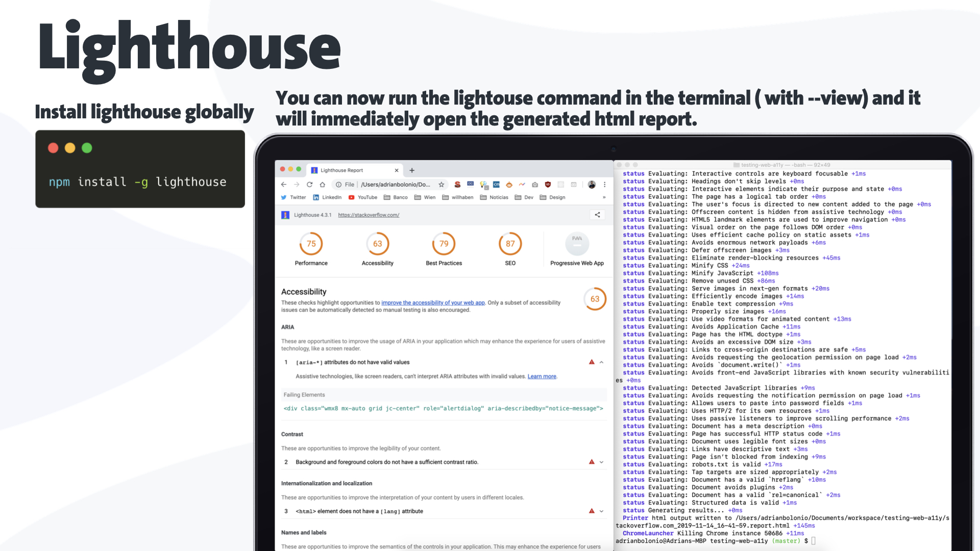 A slide of a presentation on how to use the tool lighthouse