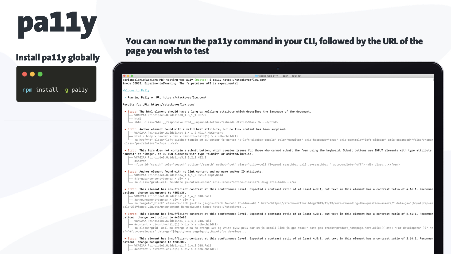 A slide of a presentation on how to use the tool pa11y